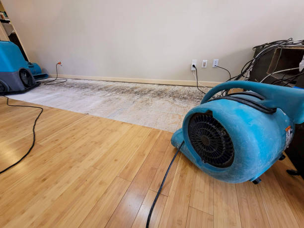 Professional Burst Pipe Water Damage technician working in Huntington Station, NY